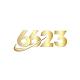 6623vnnet