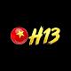 h13cam