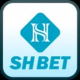 shbet800comm