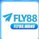 fly88wang