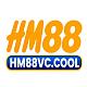Hm88vccool