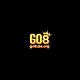 go8aeorg1
