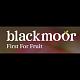 blackmoorco1