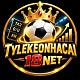 tyle18net