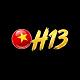 h13solutions