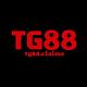 nctg88claims