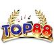 topvisionvn