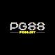 pg88diy