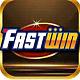 Fastwingdn