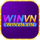 winvnvin