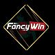 fancywintech