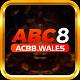 acb8wales
