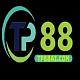 tp88aicom