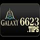 6623tips