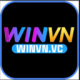 winvnvc