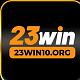 23WIN10org