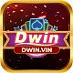 dwinvin