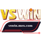 vswinmexcom