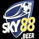 Sky881net