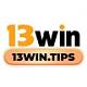 13wintips