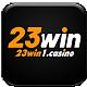 23win1casino