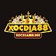 xocdia888ink