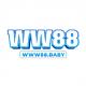 www88baby