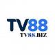 tv88biz
