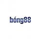 bong88toys