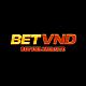 betvndweb