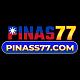 pinass77com