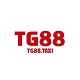 tg88taxi
