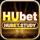 Hubetstudy