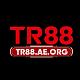 tr88aeorg