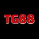 tg88uknet