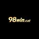 98wincat
