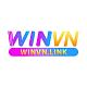 winvnlink