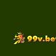 vn99vvn