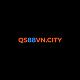qs88vncity1