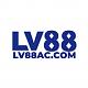 lv8800com