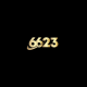 6623space