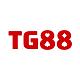 tg88mscom