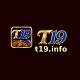 vnt19