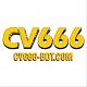 Cv666bdtco