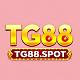 tg88spot