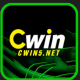 cwin5net