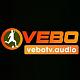 vebotvaudio