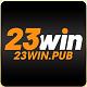 23winpub