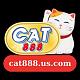 cat888uscom