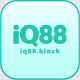 iq88black